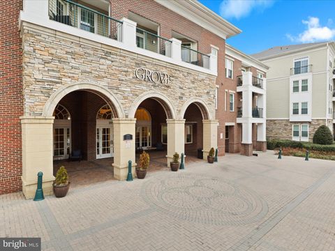 2465 ARMY NAVY DRIVE 1-203 ARLINGTON VA 22206