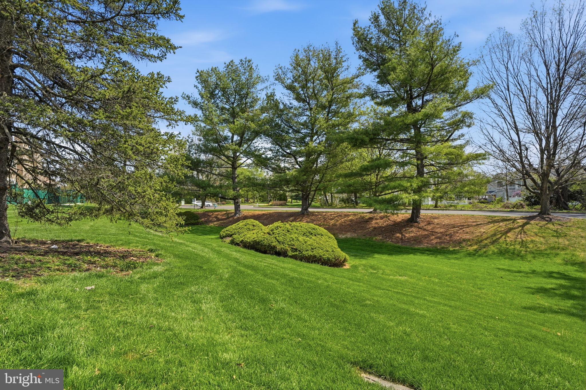 HEACOCK MDWS - Residential