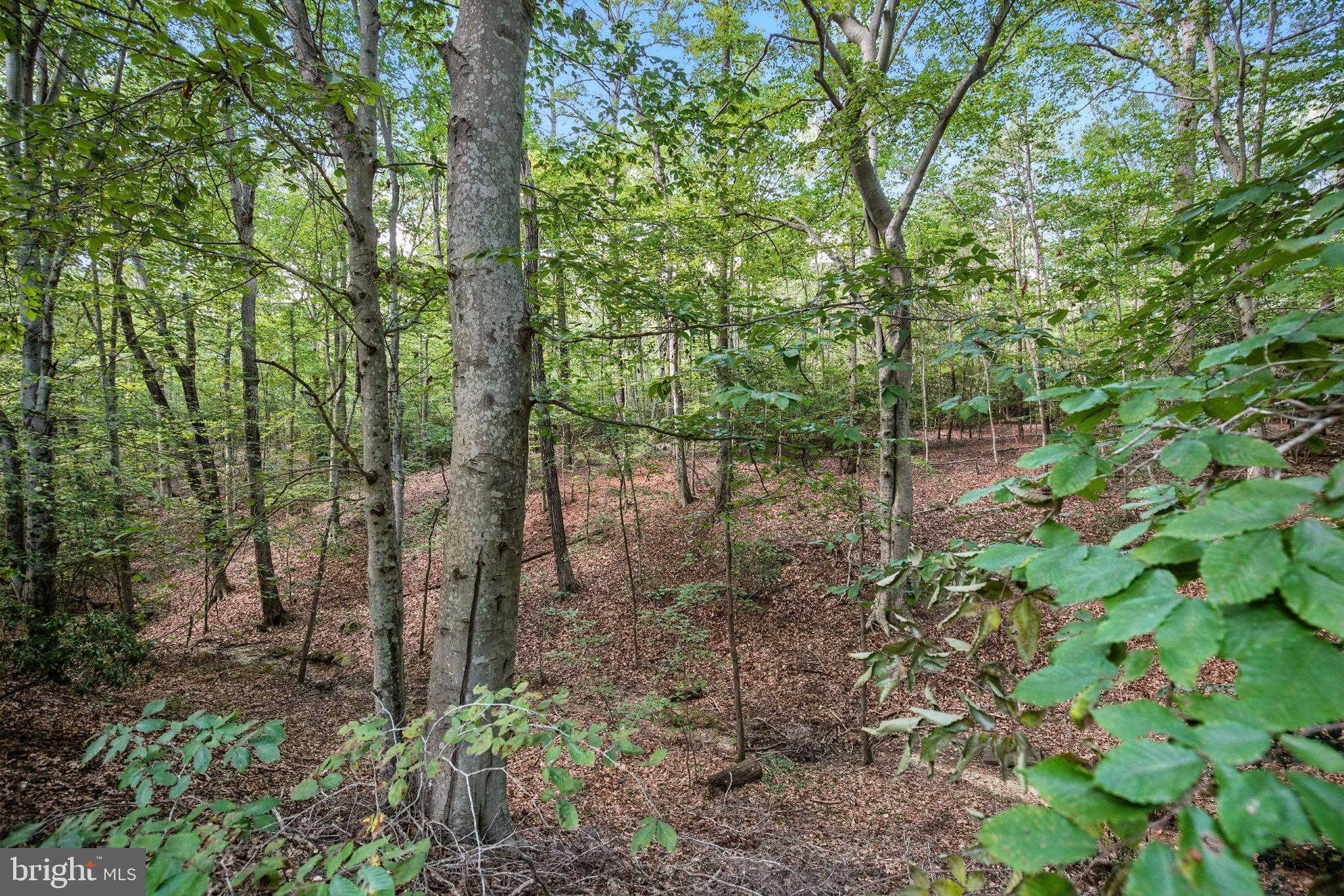 PORTOBELLO ESTATES - Residential