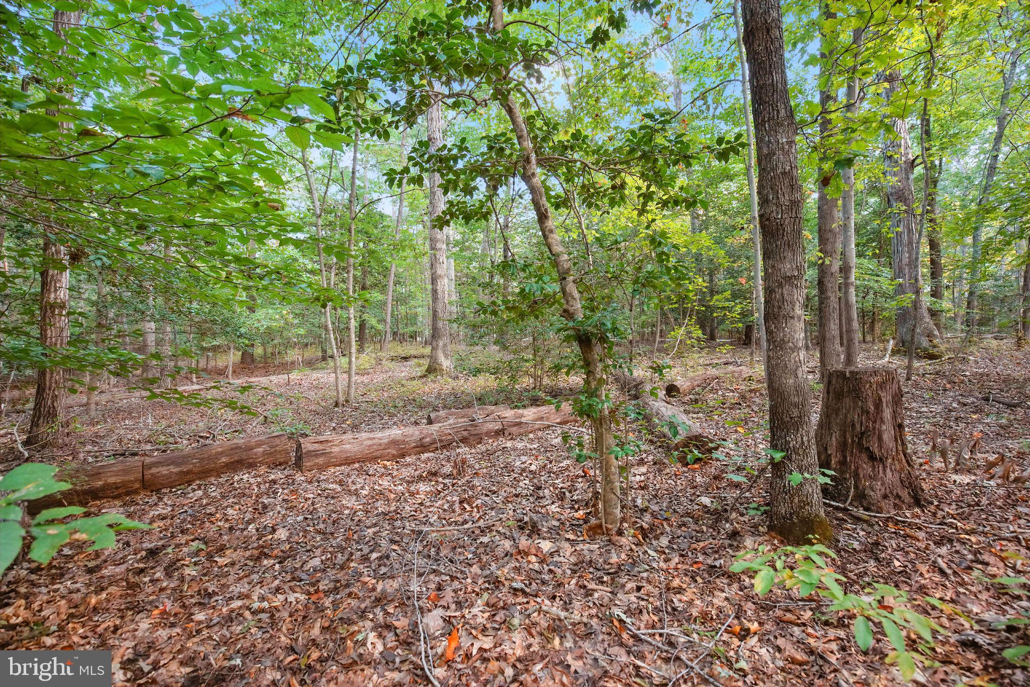 PORTOBELLO ESTATES - Residential