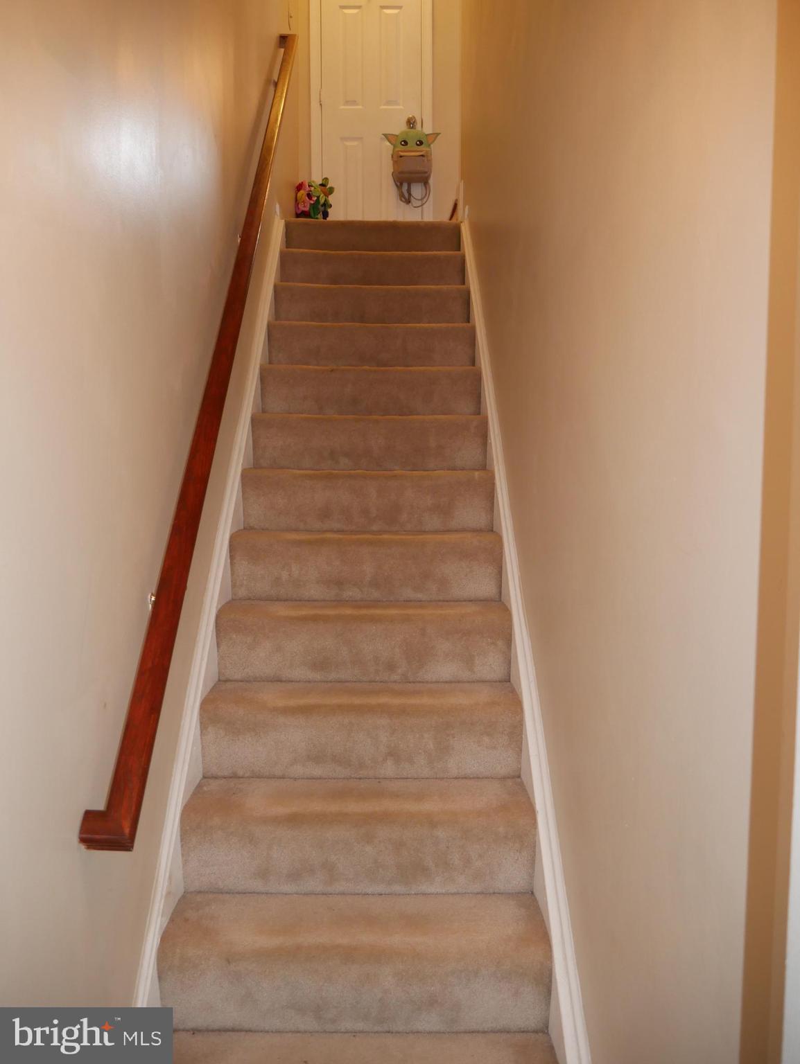 COURTS AT STAFFORD - Residential Lease