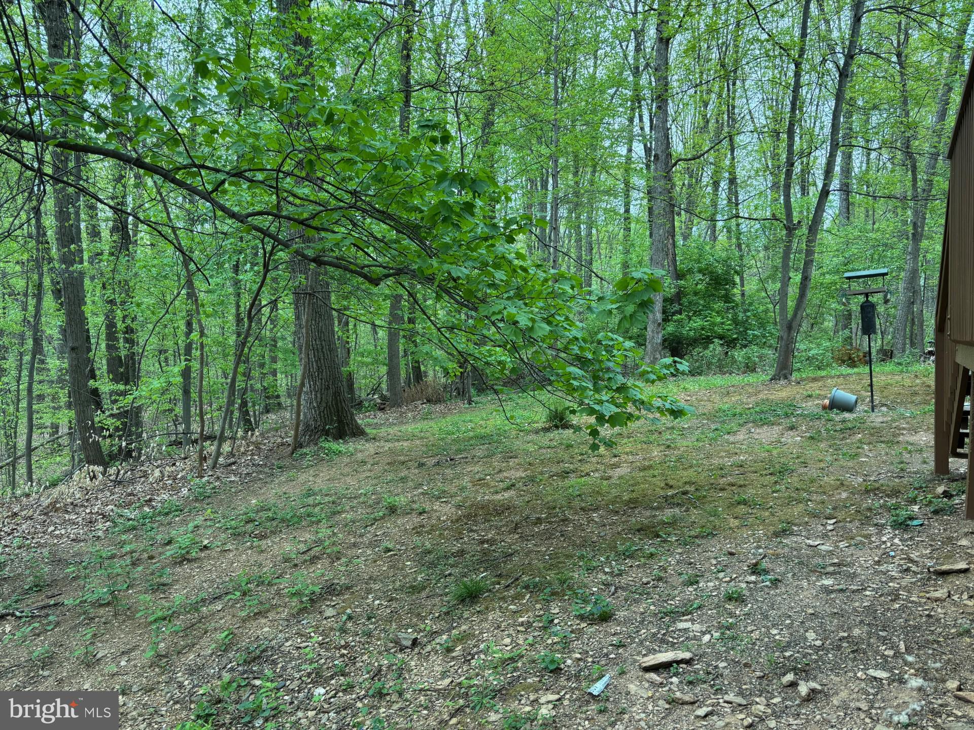 SHERWOOD FOREST - Residential