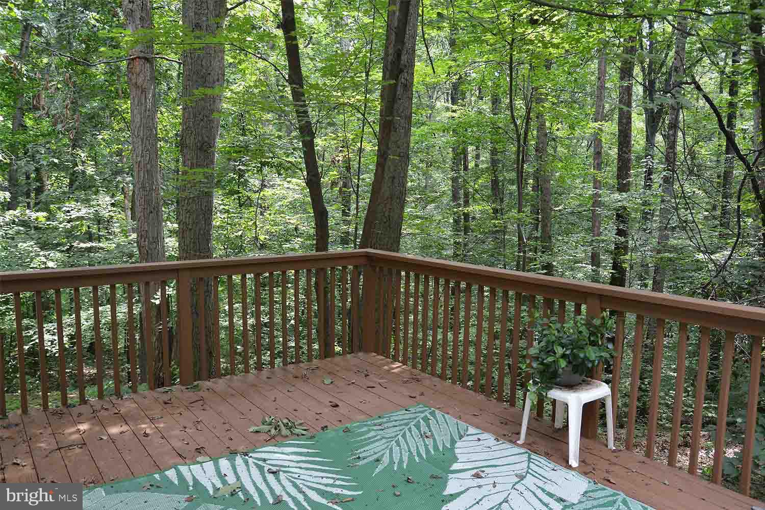 SHERWOOD FOREST - Residential