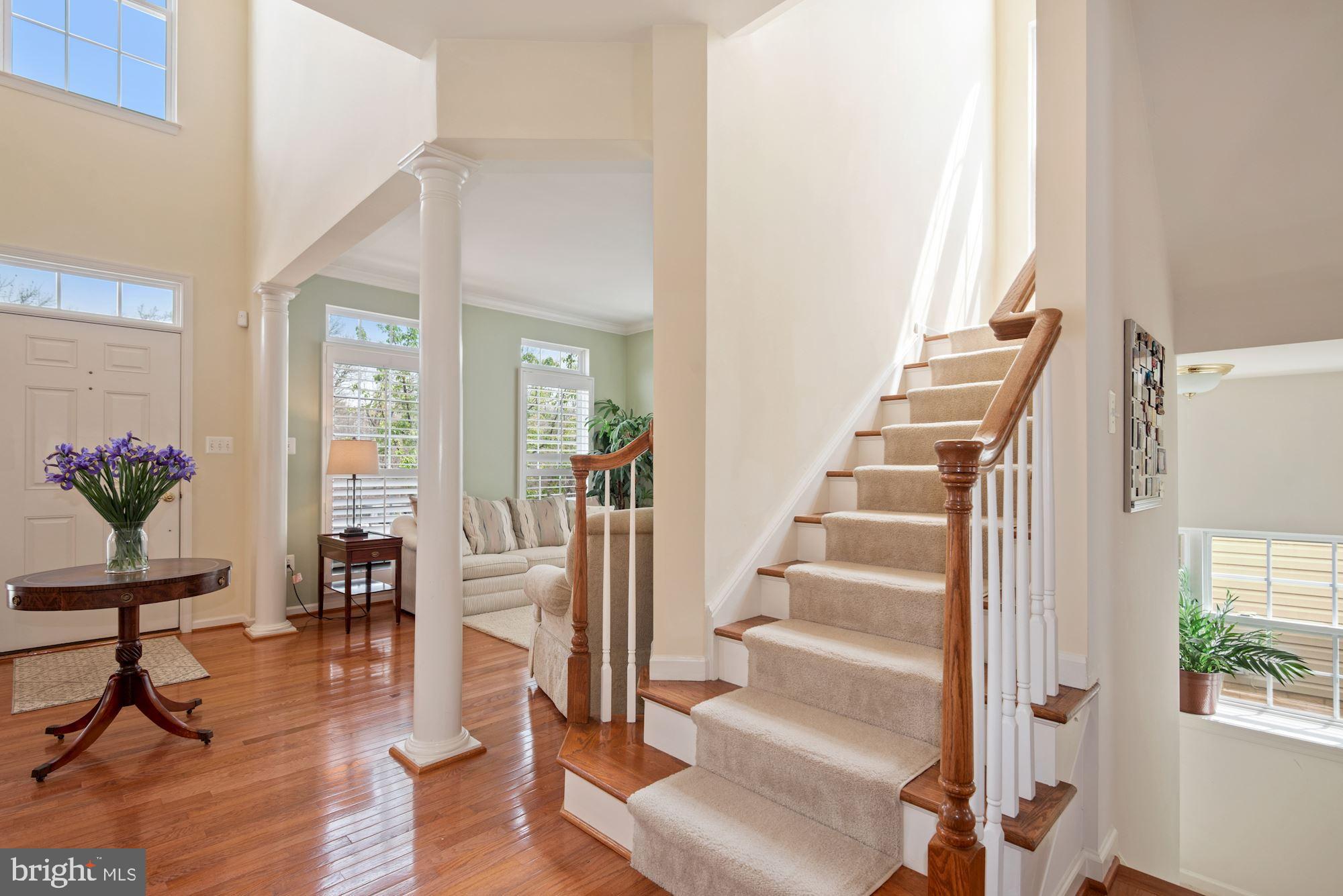 VILLAGES OF DORCHESTER - Residential