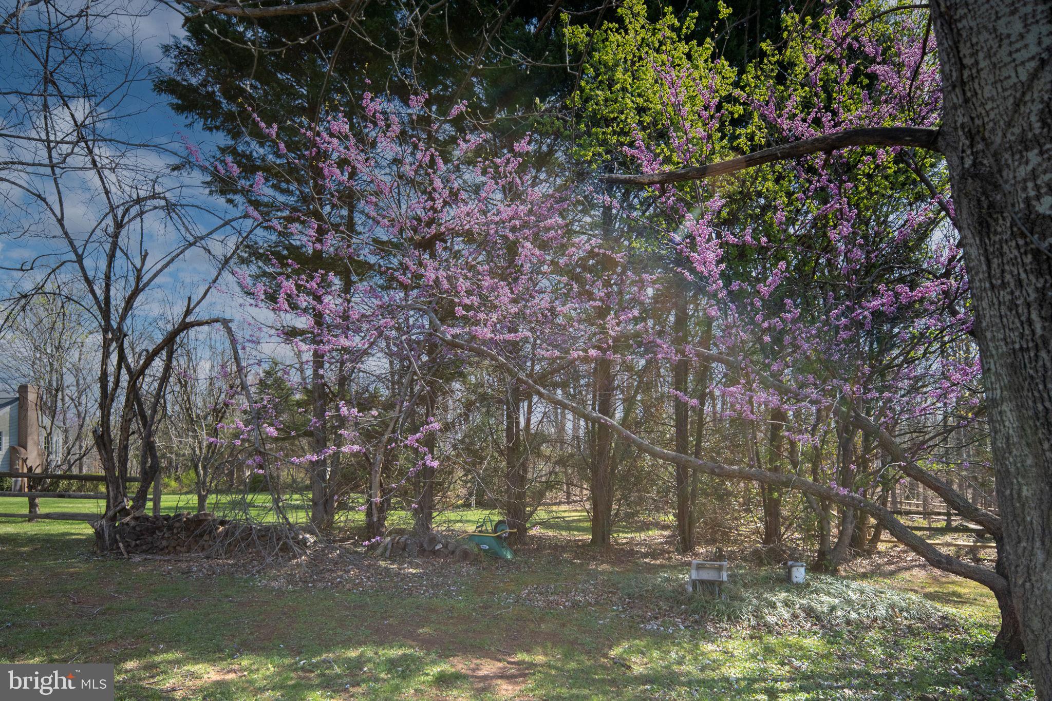 FOX CHASE - Residential