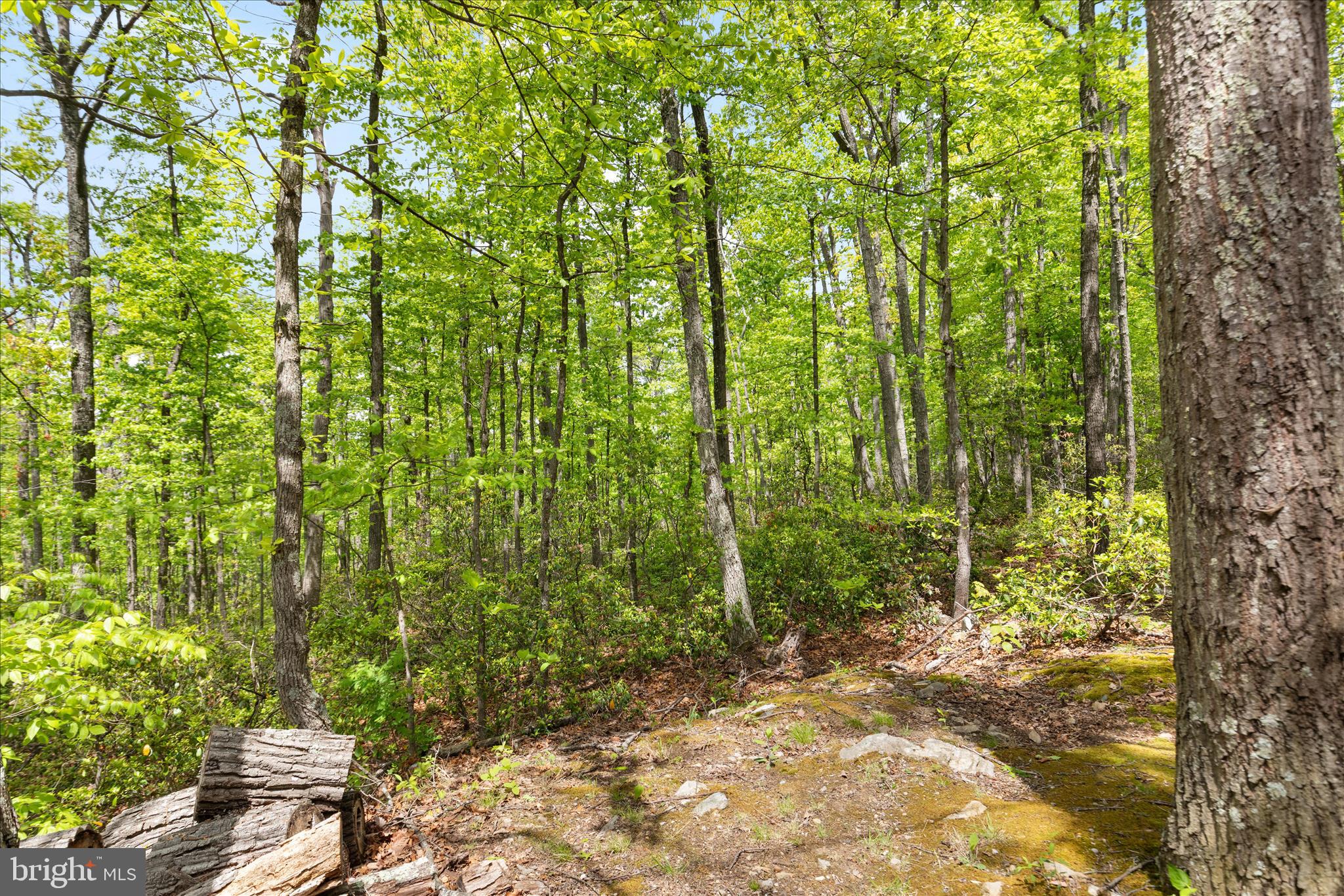 NORTH MOUNTAIN ESTATES - Land