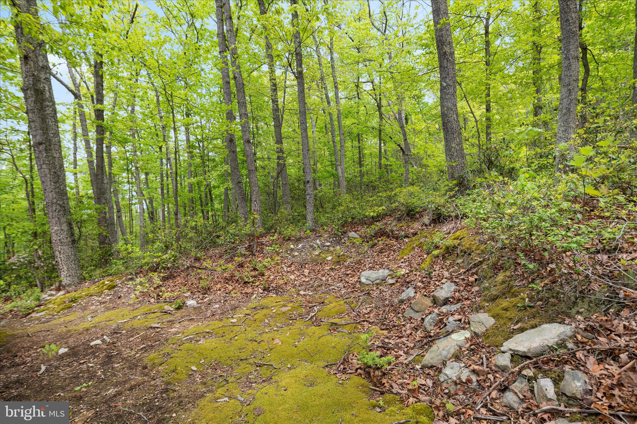 NORTH MOUNTAIN ESTATES - Land