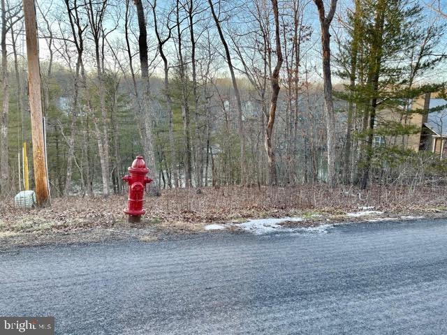 LAKE HOLIDAY ESTATES - Land