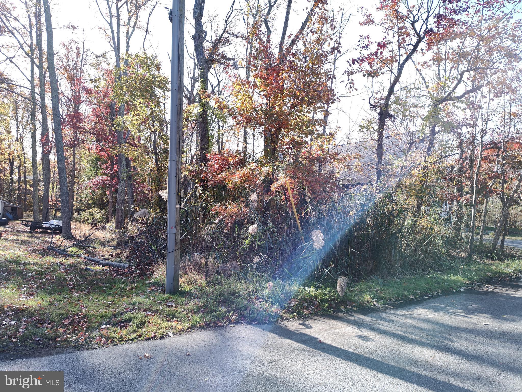 OYSTER HARBOR - Land