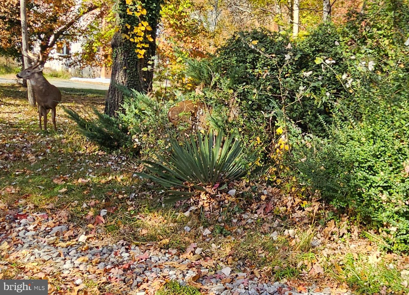 OYSTER HARBOR - Land