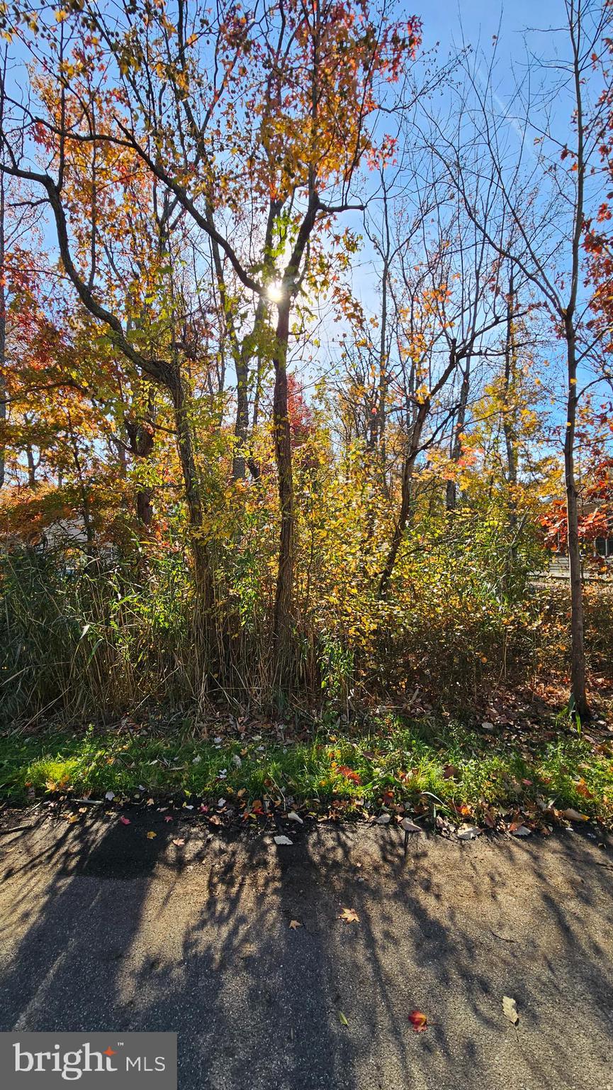 OYSTER HARBOR - Land