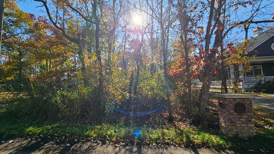 Discover a prime investment opportunity in the desirable Oyster Harbor subdivision in Annapolis, MD. 

This 0.26-acre lot offers a unique blend of natural beauty and potential for future development. With its partly wooded landscape, the property provides a serene setting that enhances its appeal for residential construction or long-term investment. - Enjoy the tranquility of a low-traffic area, which can enhance property value and desirability. - The natural foliage not only offers privacy but also creates an inviting atmosphere for potential buyers or renters. - Trees/Woods: The picturesque views of surrounding trees and woods contribute to a peaceful environment, making it an attractive option for those seeking a retreat from urban life. This lot is an excellent opportunity for investors looking to capitalize on the growing demand for residential properties in the area. 

The Oyster Harbor subdivision, located in and around Arundel on the Bay, is known for its appealing surroundings and community atmosphere, which can lead to increased property values over time. As the area continues to develop, this lot stands to appreciate, making it a strategic addition to any investment portfolio. With no association fees or restrictive covenants, investors have the flexibility to design and develop the property according to market demands. 

The partly wooded nature of the lot allows for creative landscaping and home design, appealing to a broad range of potential buyers. 

In summary, this 0.26-acre lot in Oyster Harbor presents a compelling investment opportunity. Its desirable features, combined with the potential for appreciation and development, make it a smart choice for those looking to invest in real estate. Don't miss out on the chance to secure a piece of this promising market.