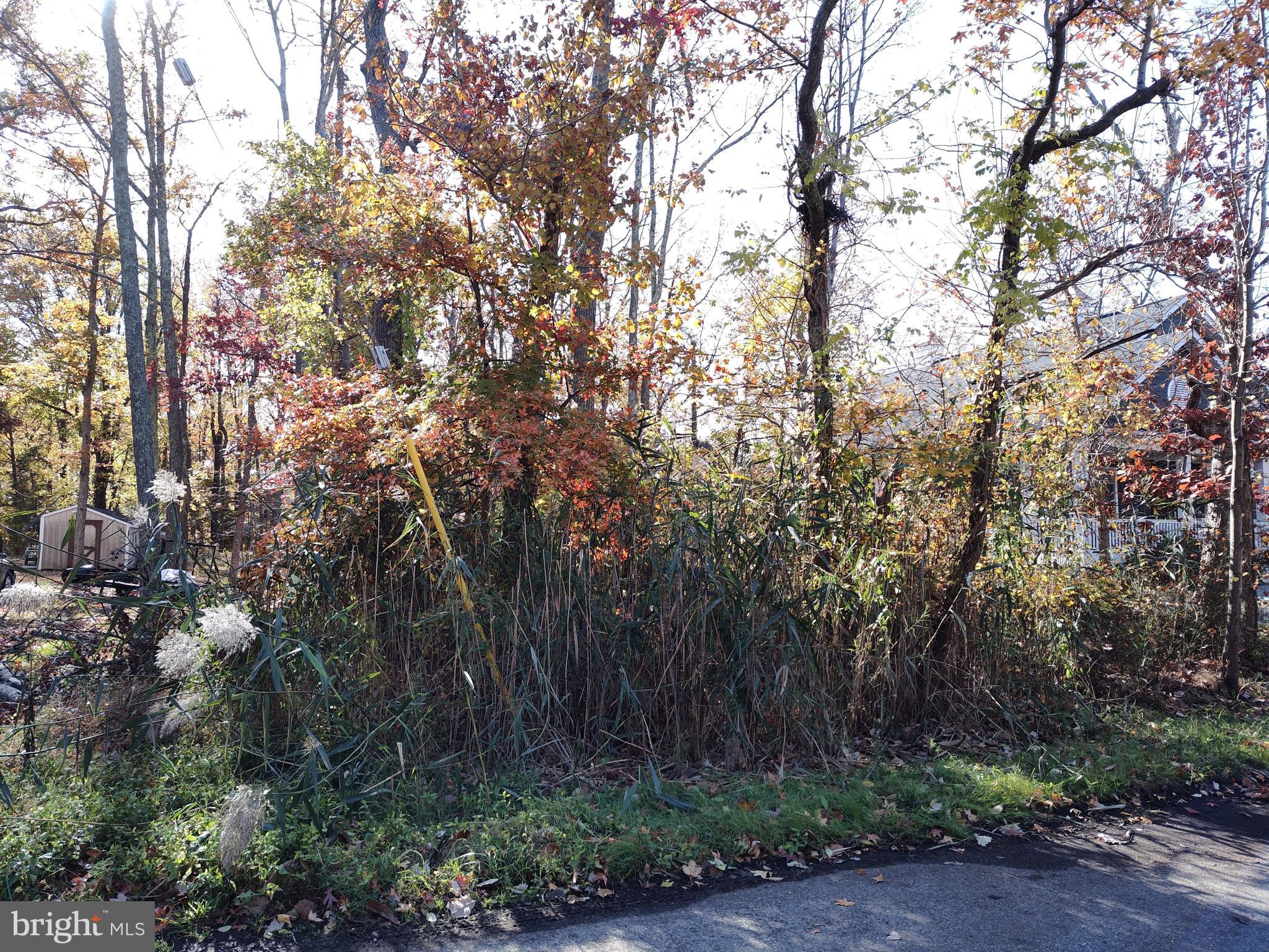 OYSTER HARBOR - Land