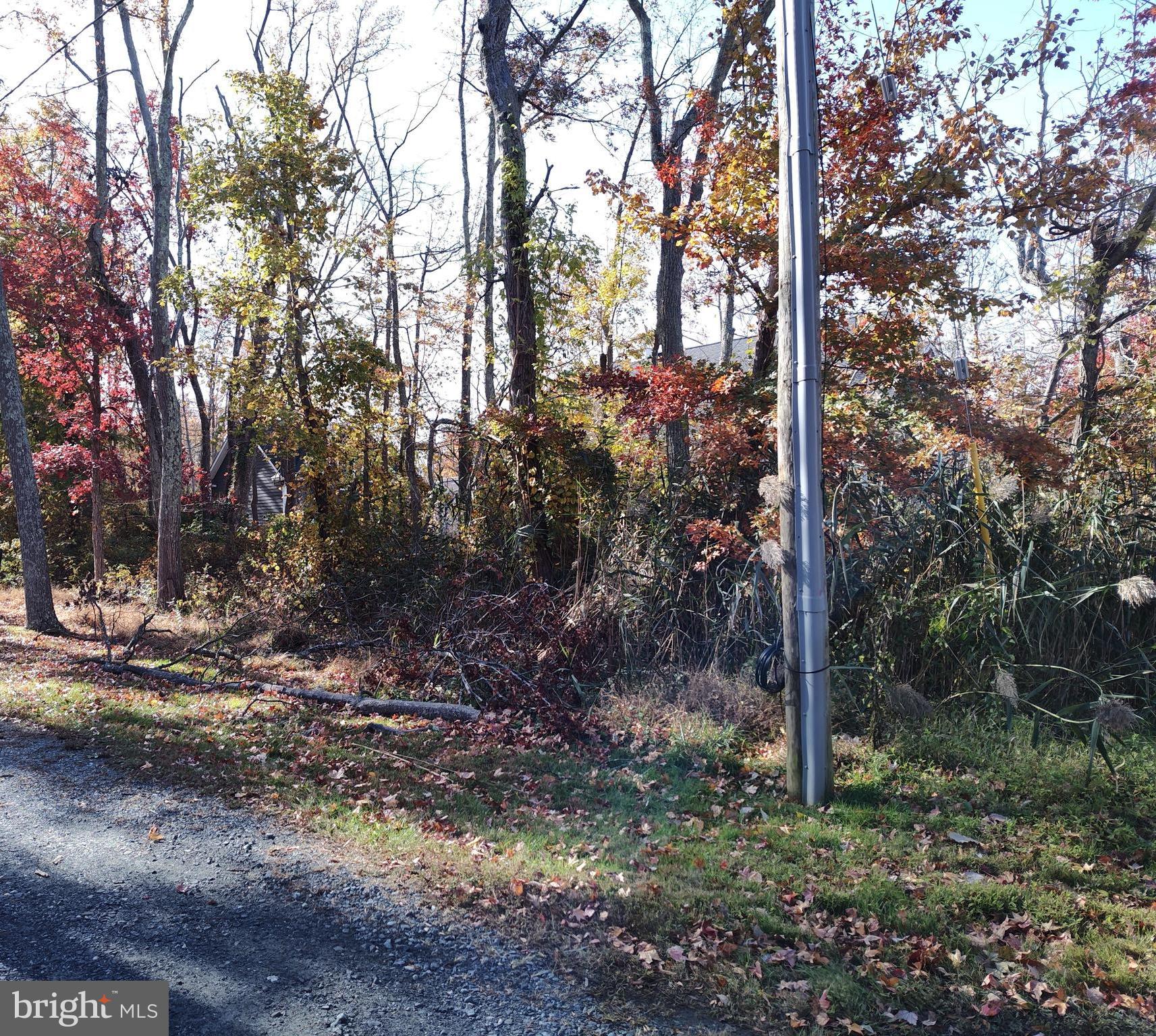 OYSTER HARBOR - Land