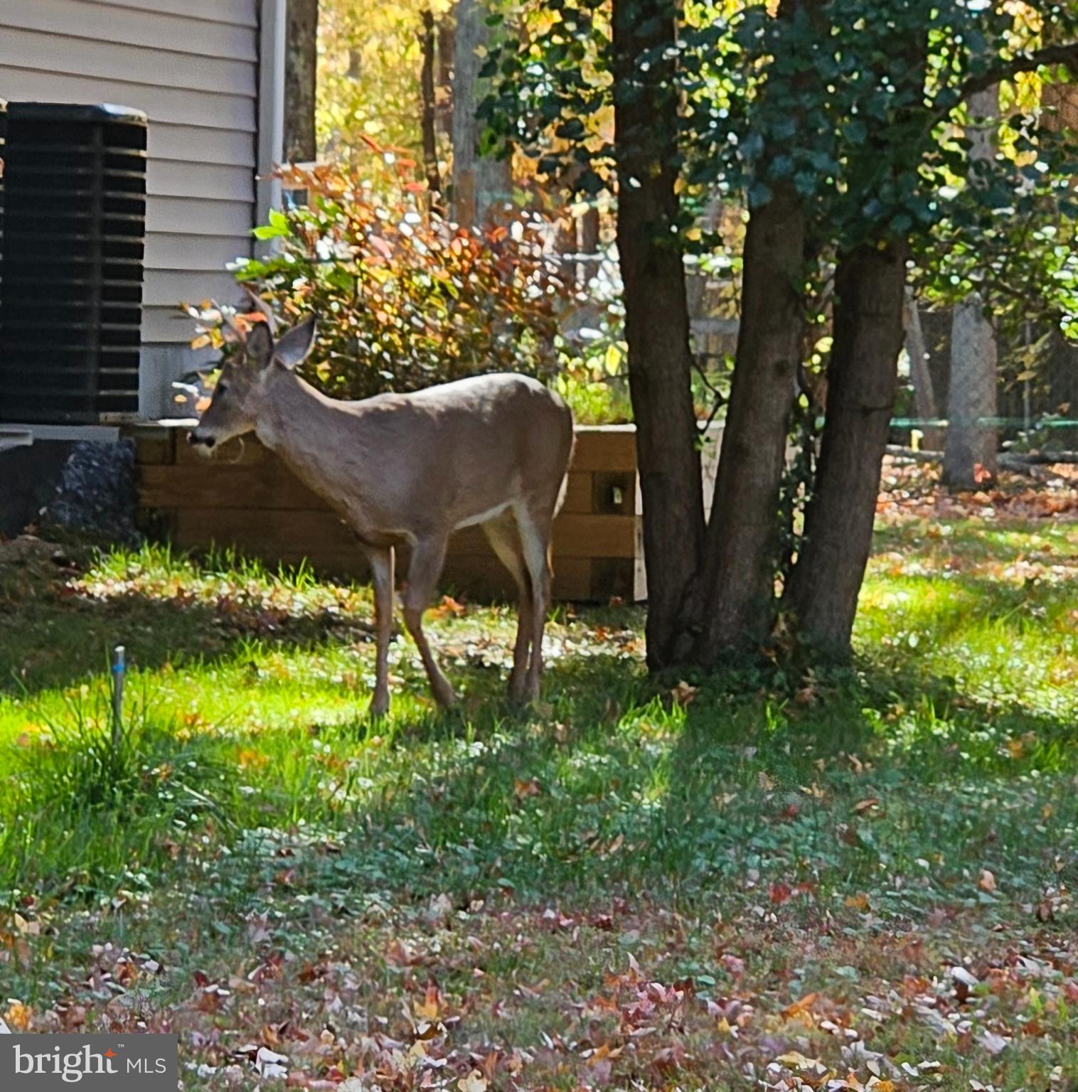 OYSTER HARBOR - Land