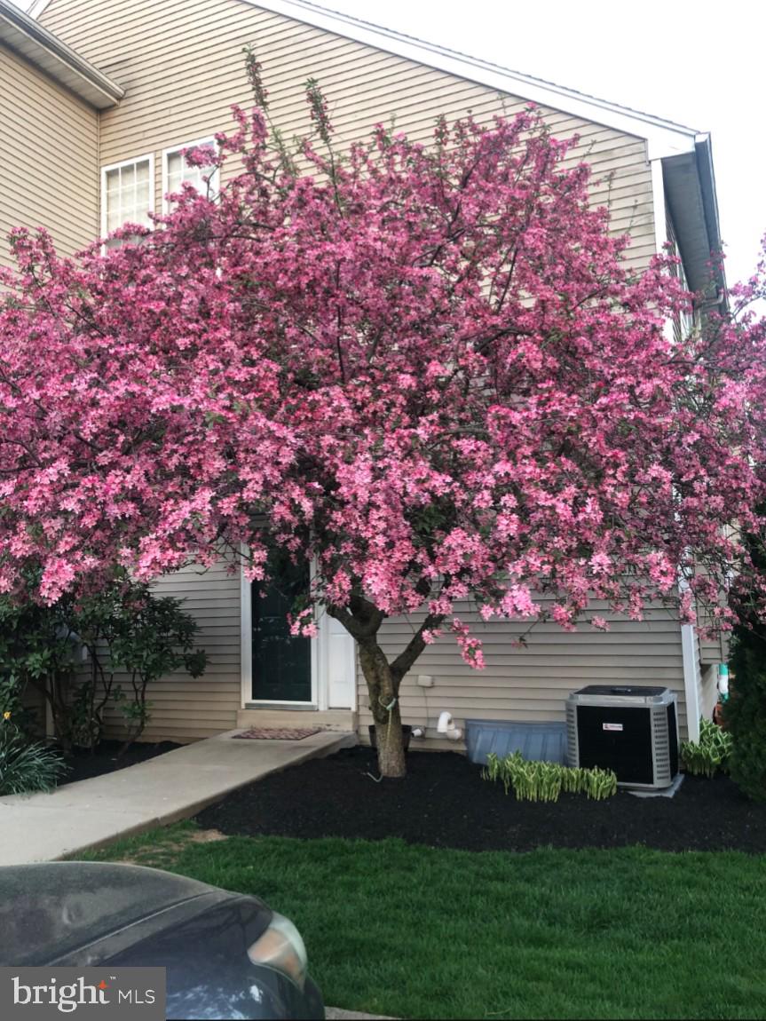 BLACKSMITH POINTE - Residential