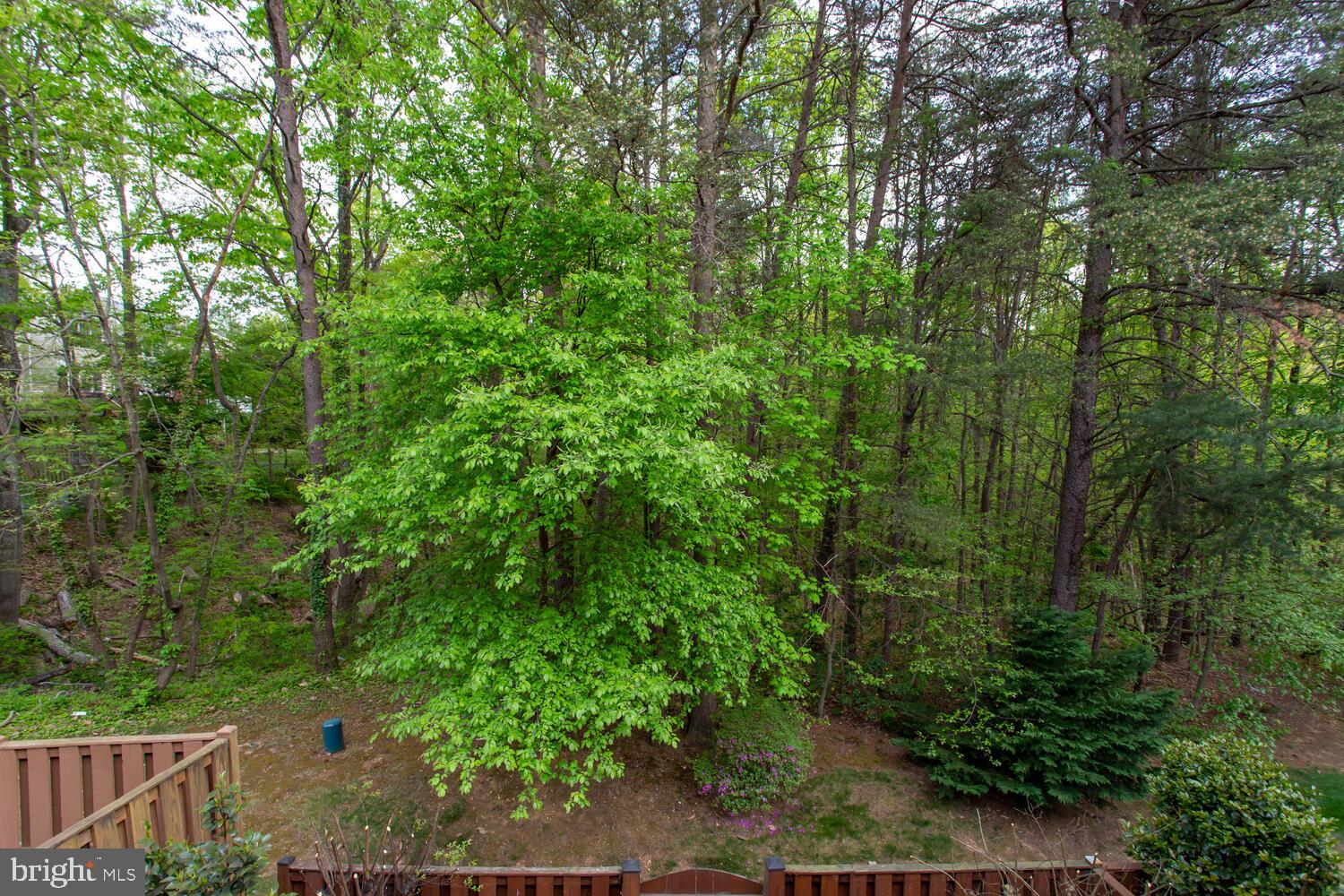 KINGSTOWNE - Residential