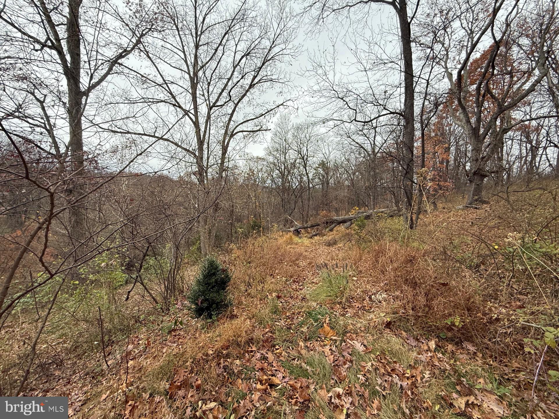 APPLE MT LAKE - Residential