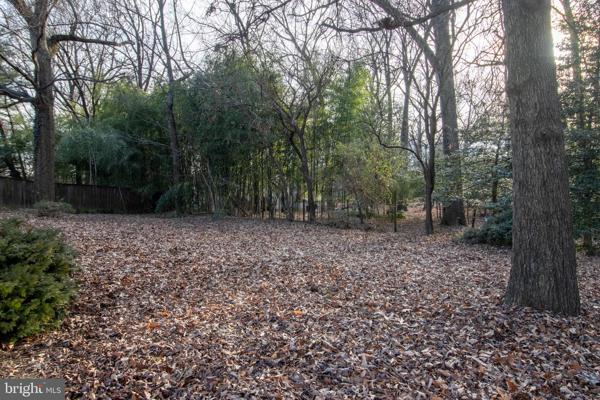 BELTSVILLE TERRACE - Residential