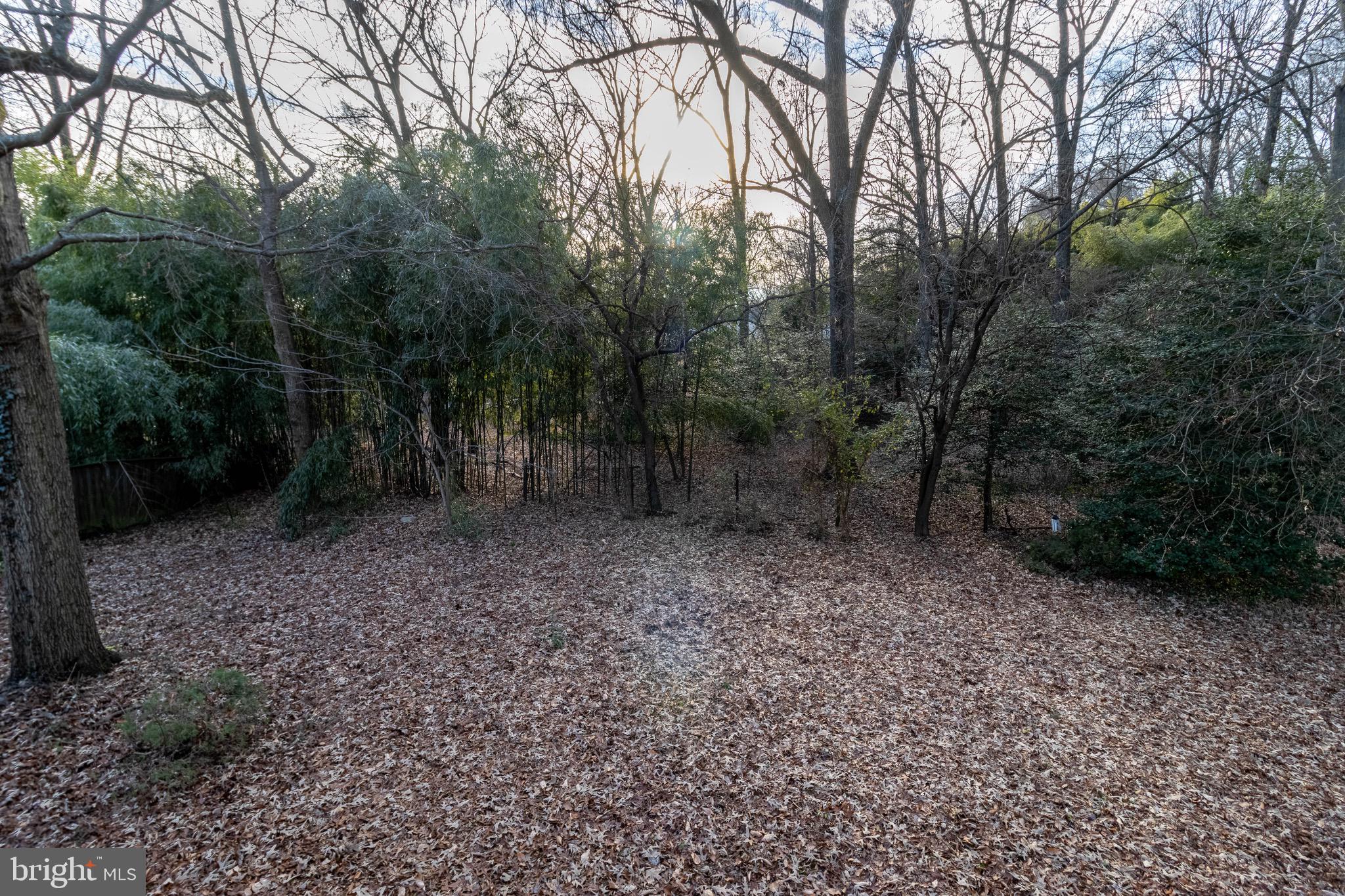 BELTSVILLE TERRACE - Residential