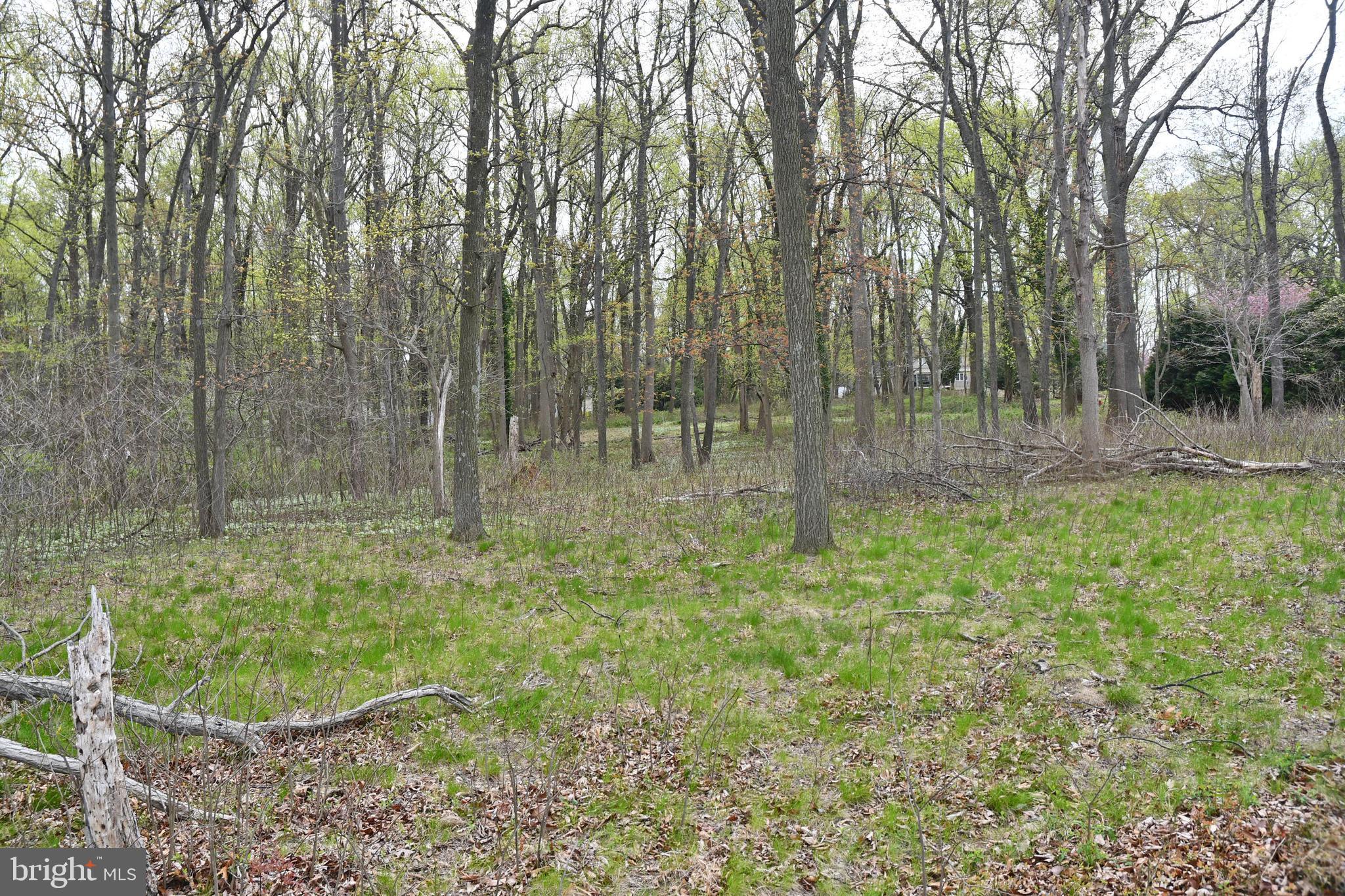 Lot 2 KENT AVENUE
