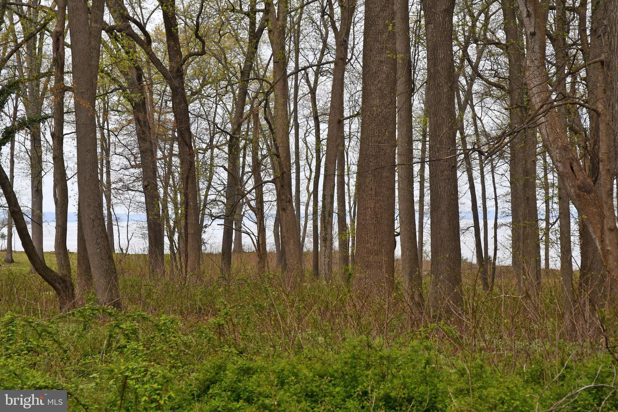 Lot 2 KENT AVENUE