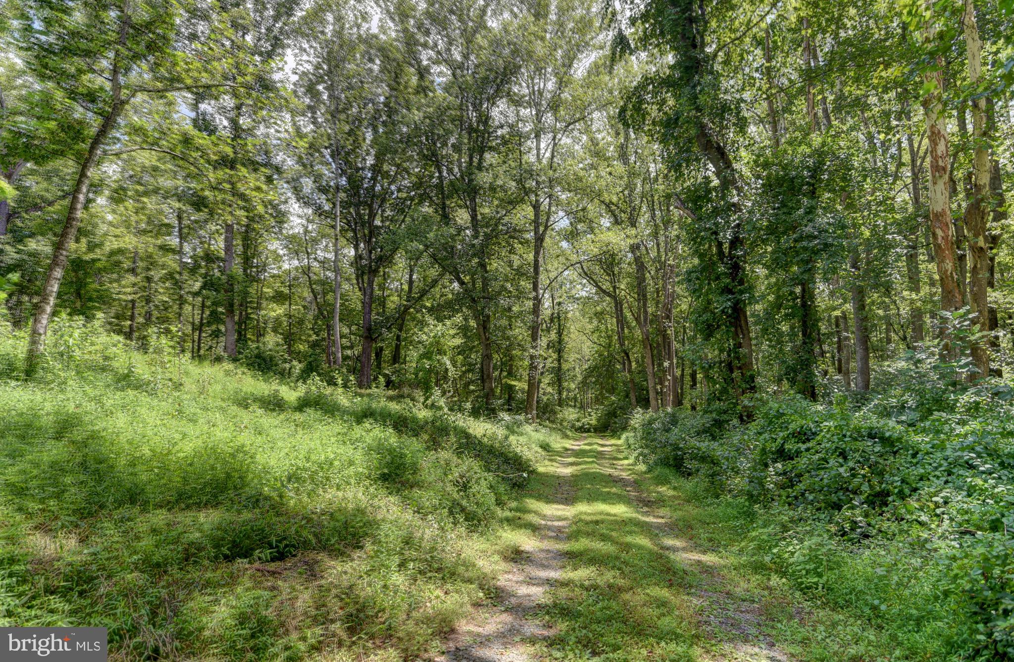 NONE AVAILABLE - Land