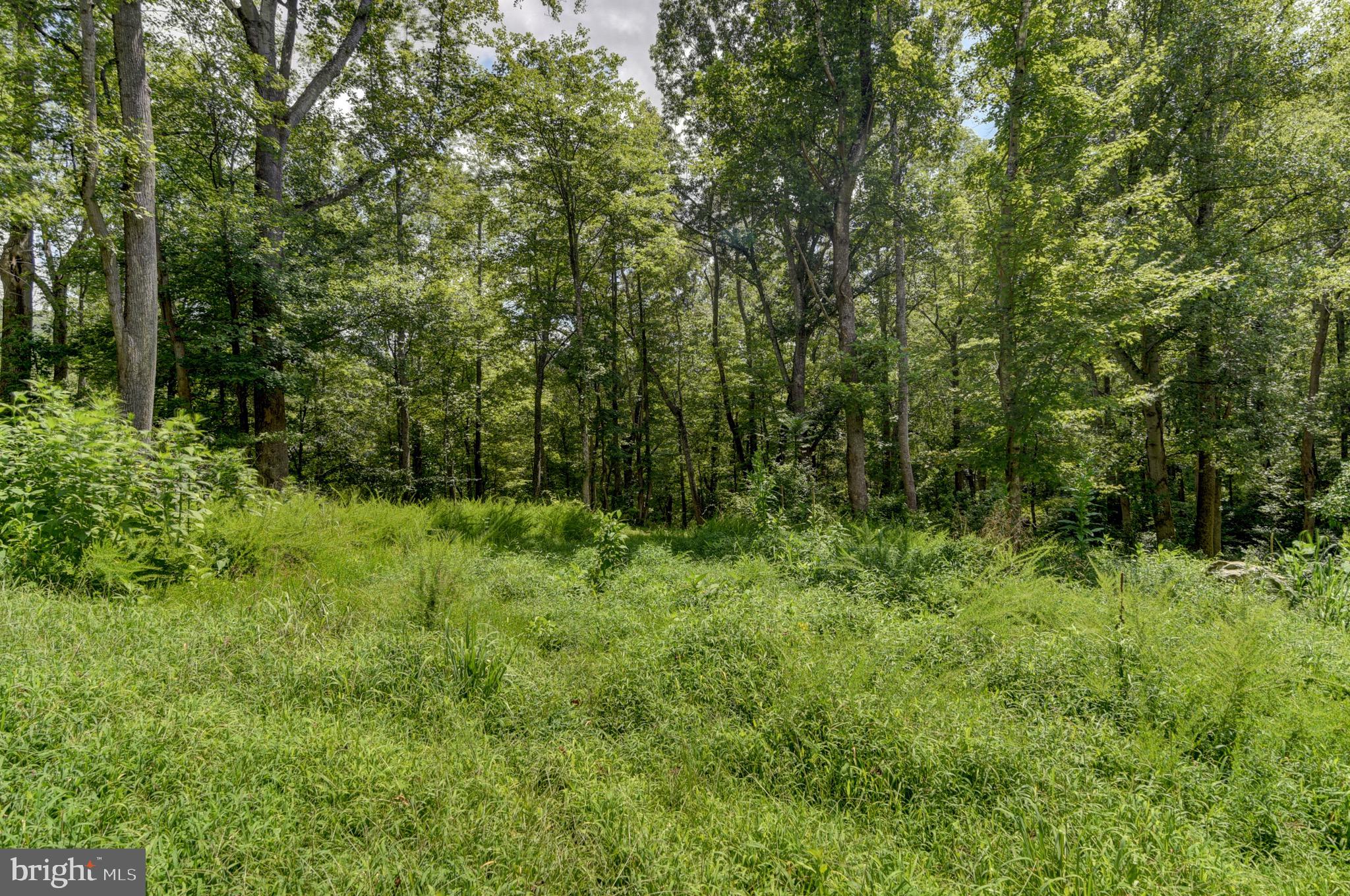 NONE AVAILABLE - Land