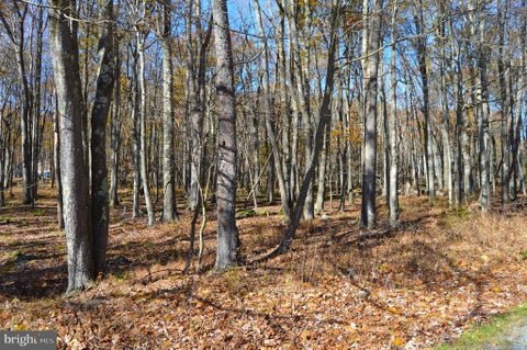 Vacant Land For Sale - 181 E Alpine Drive<br/> TERRA ALTA, WV 26764