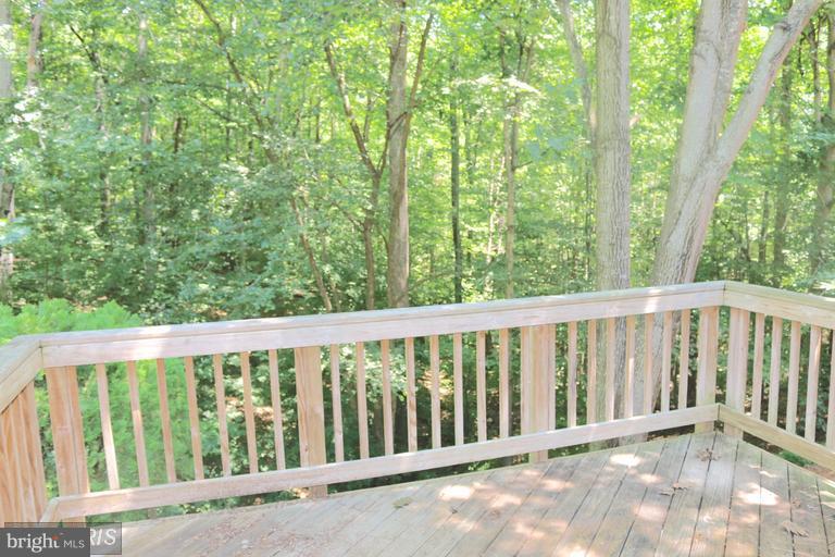 MONTCLAIR ST3 - Residential Lease