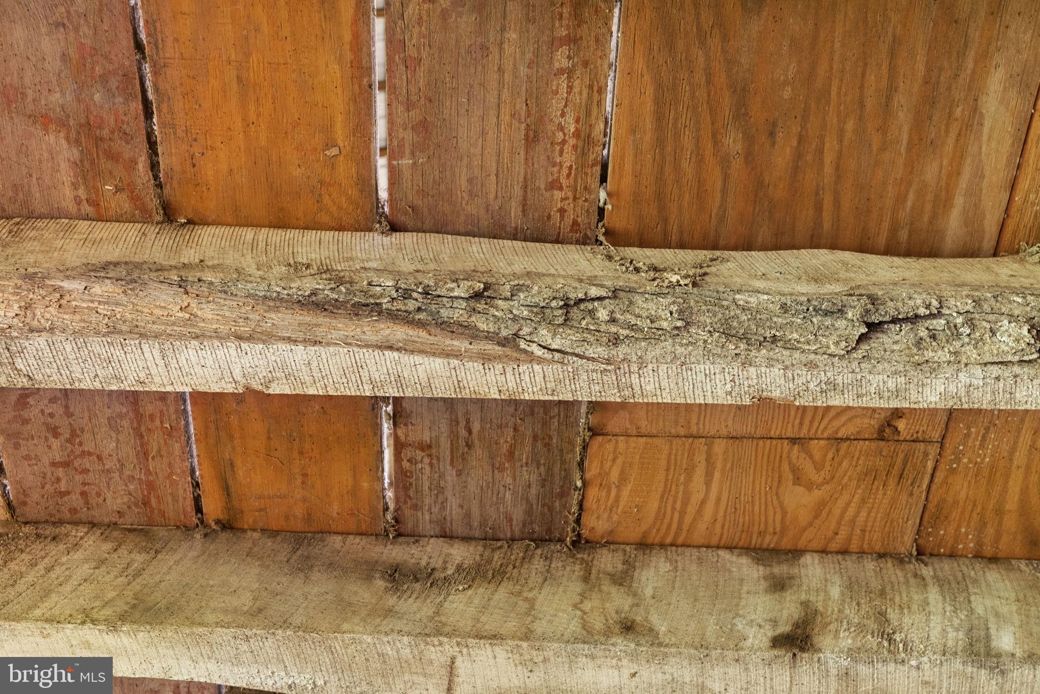 OUR LADY OF GOOD SUCCESS - Land