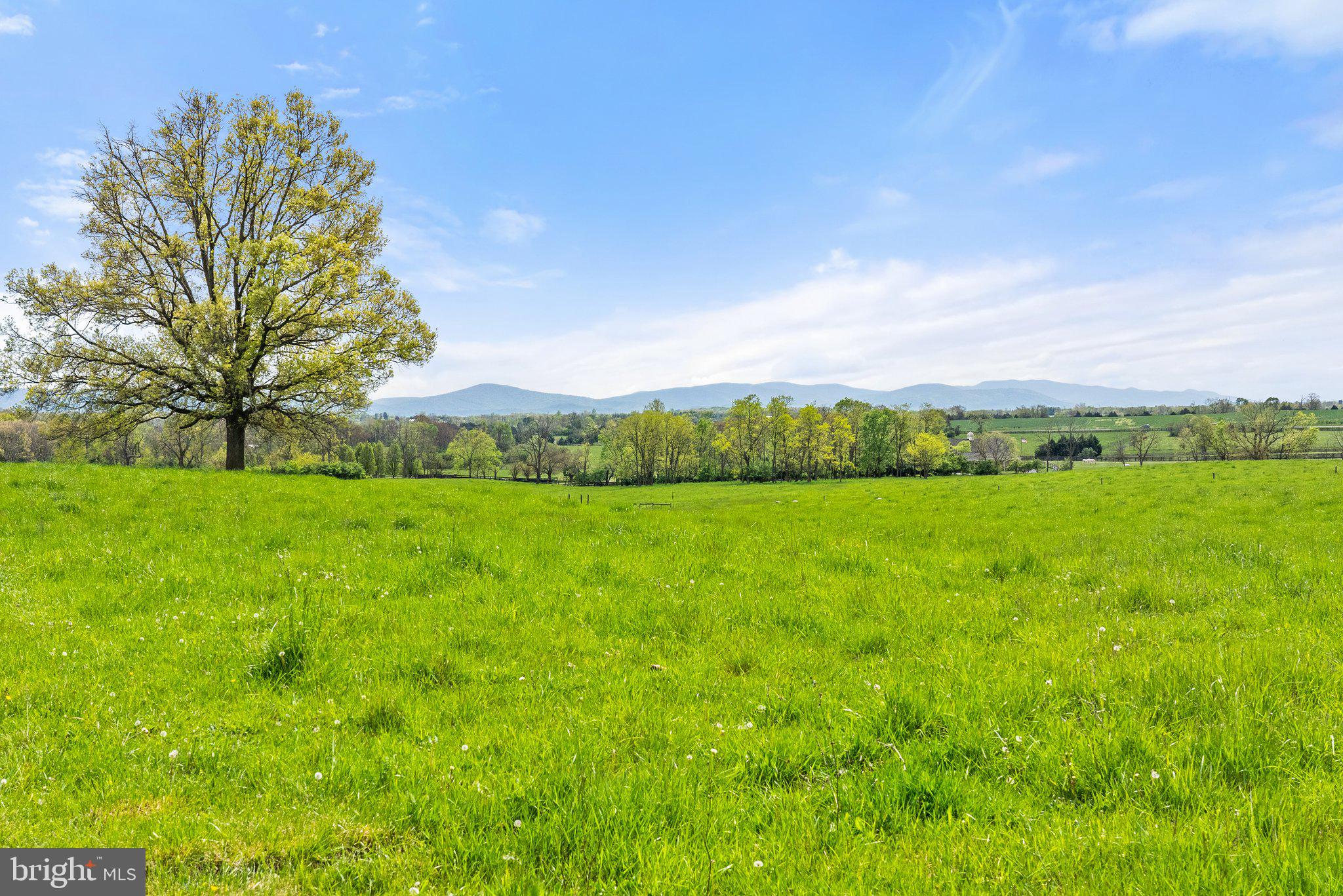OUR LADY OF GOOD SUCCESS - Land