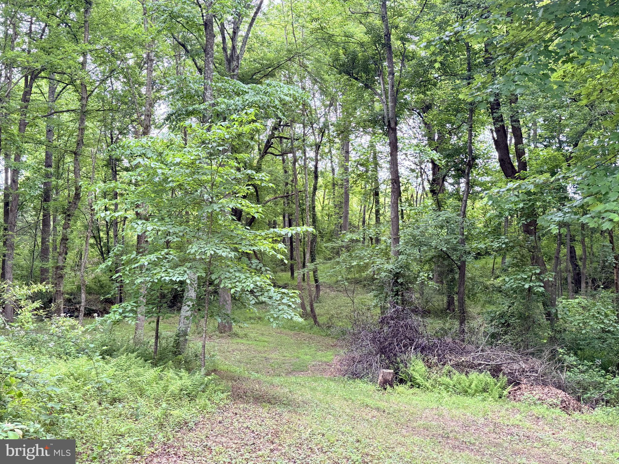 CARPENTER'S RIDGE - Residential