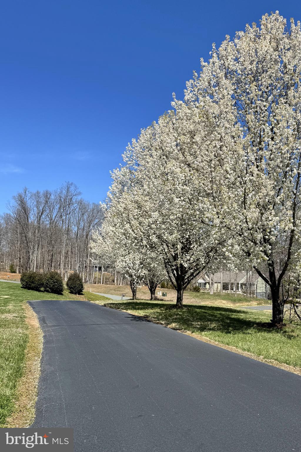CARPENTER'S RIDGE - Residential