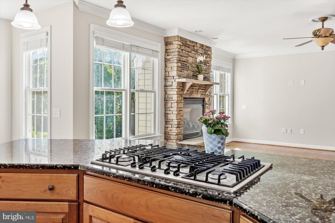 CARPENTER'S RIDGE - Residential