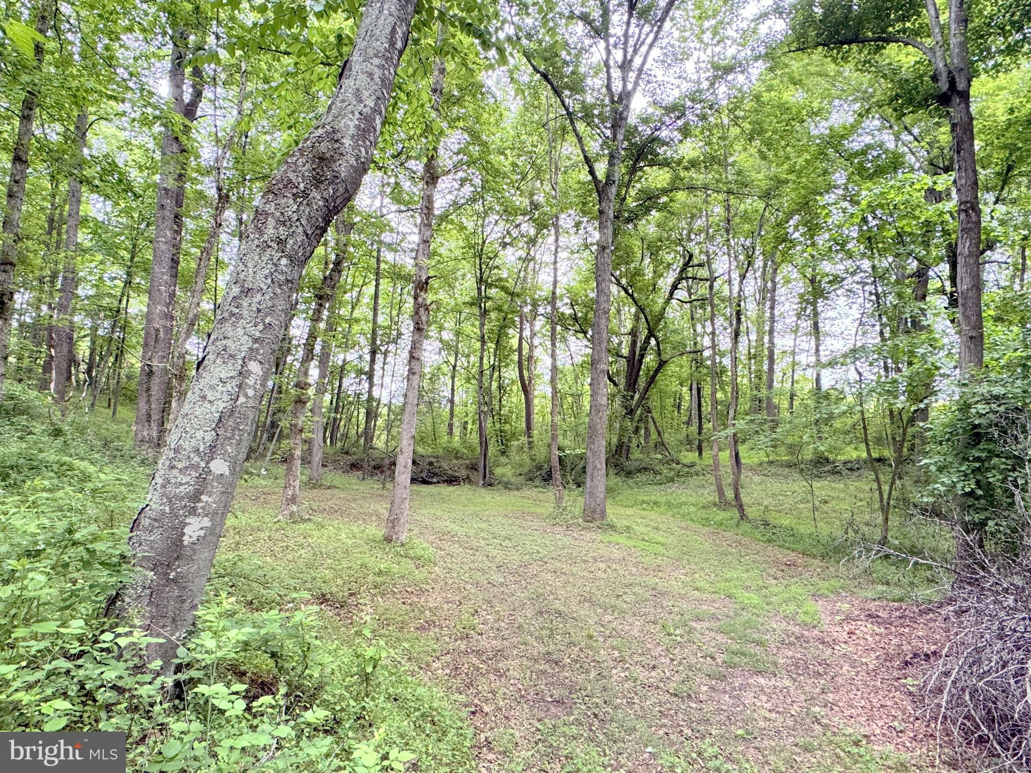 CARPENTER'S RIDGE - Residential