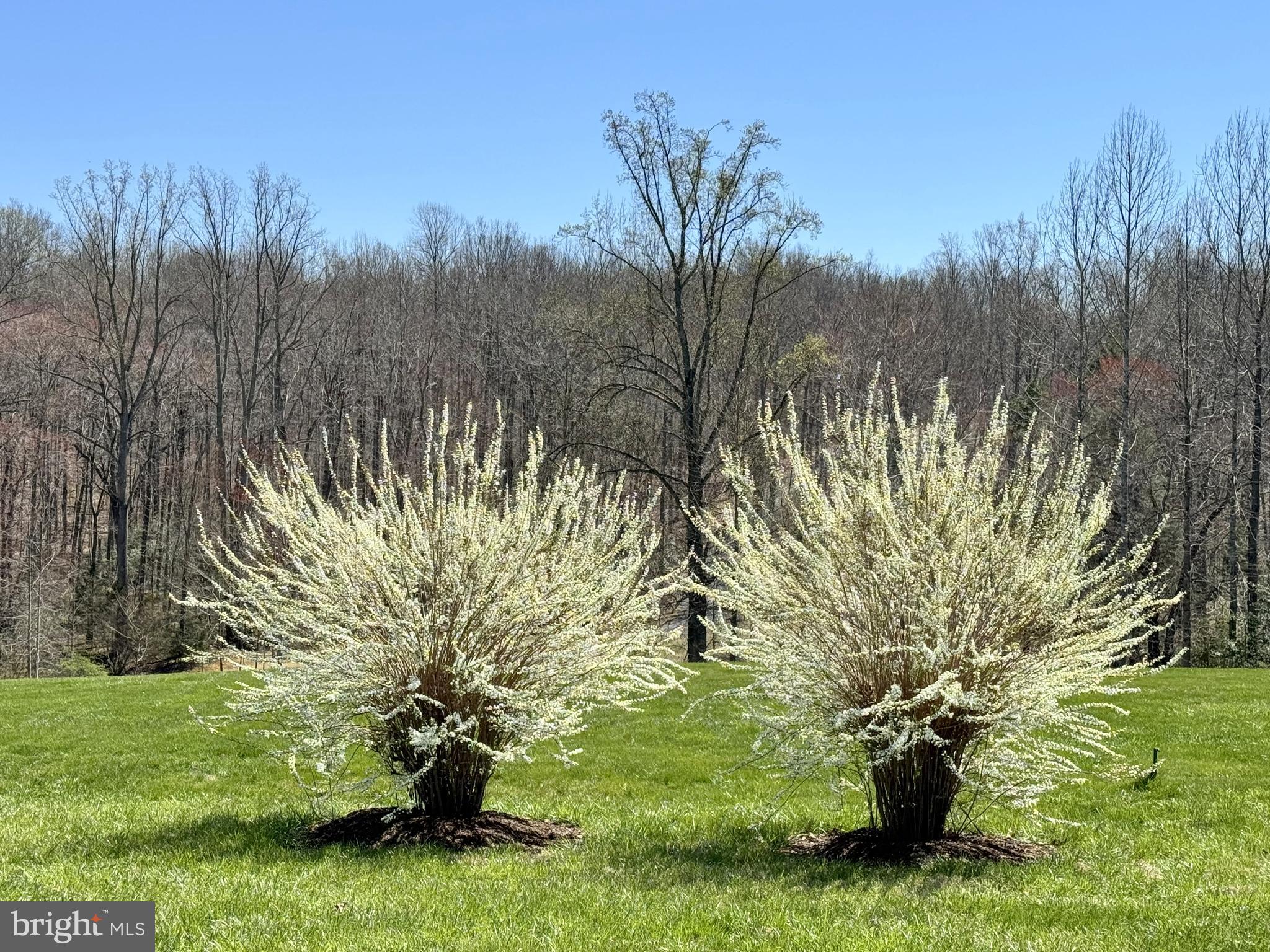 CARPENTER'S RIDGE - Residential