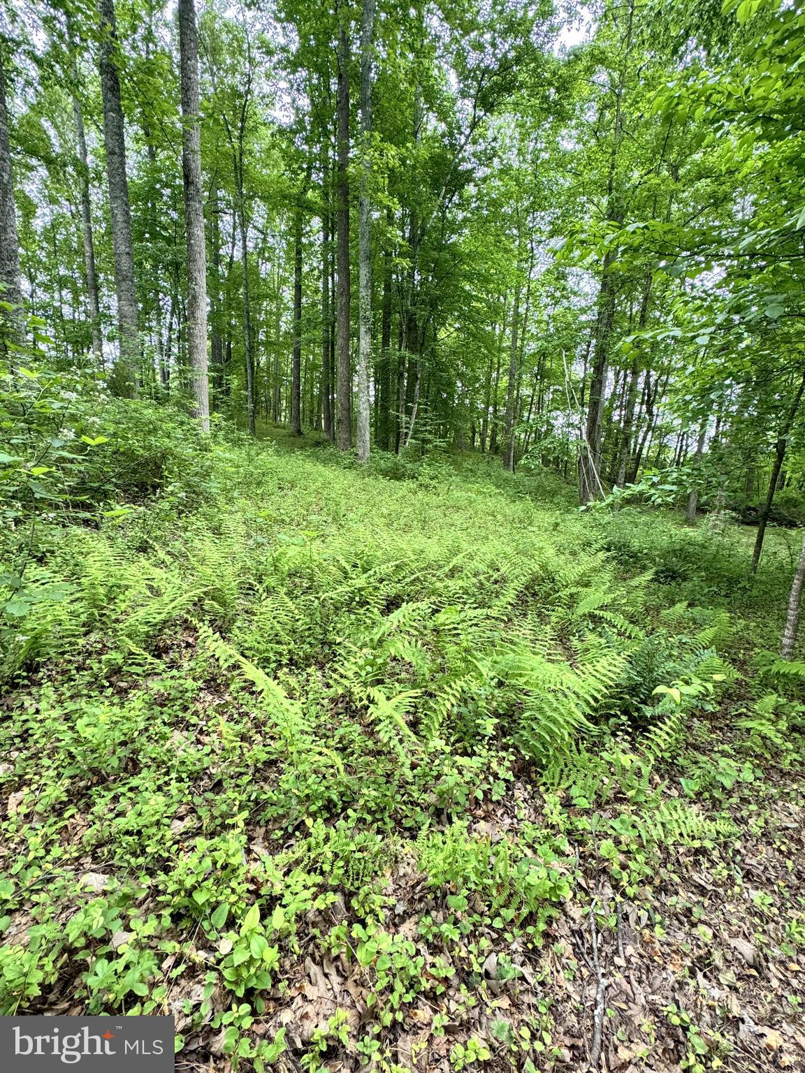 CARPENTER'S RIDGE - Residential