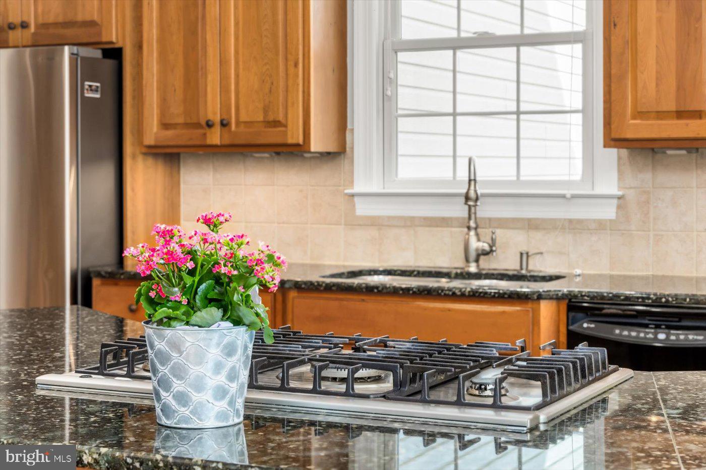 CARPENTER'S RIDGE - Residential