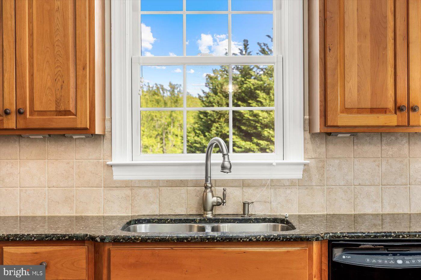 CARPENTER'S RIDGE - Residential