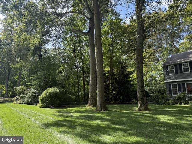 11 BEECHTREE LANE