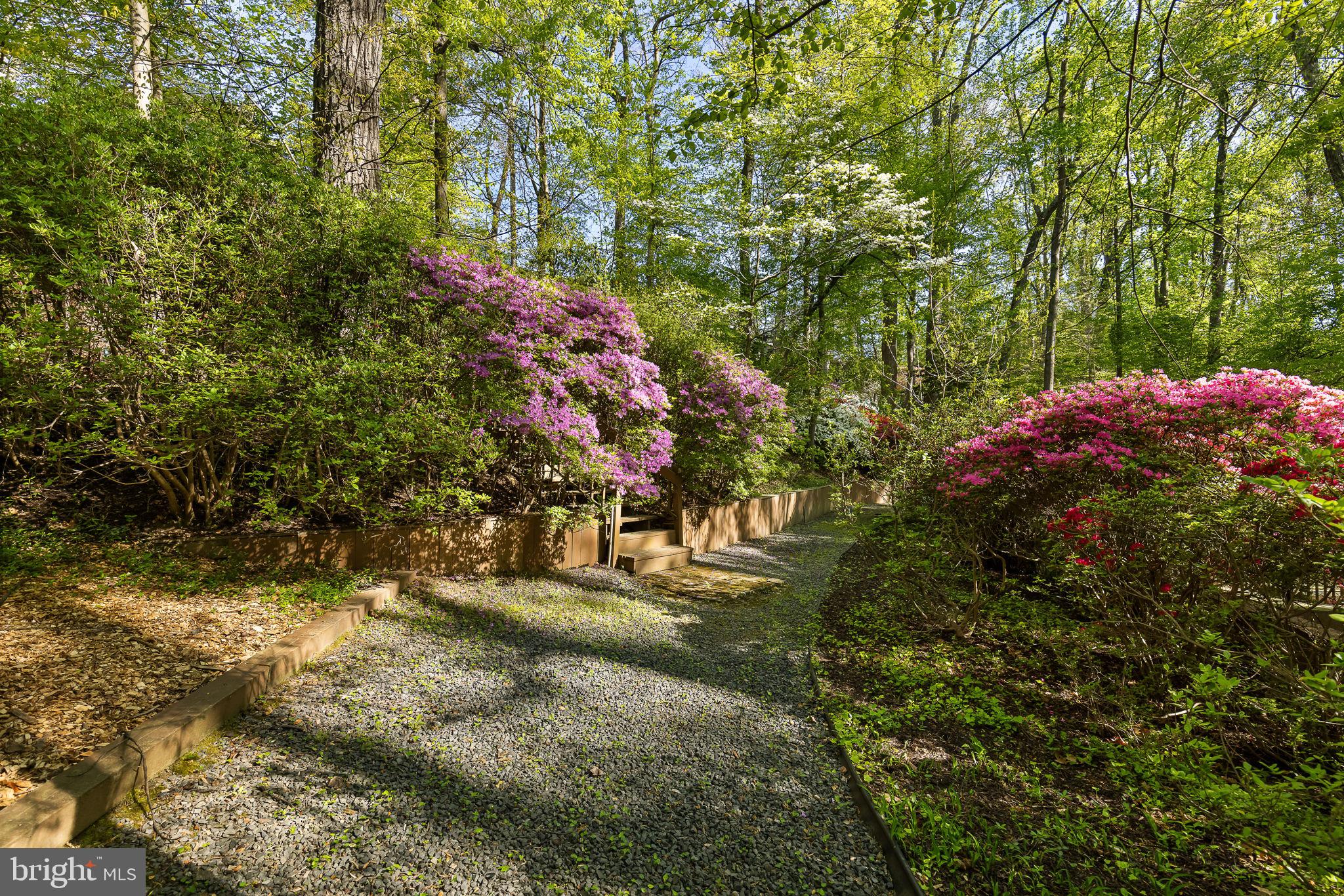 LAKE BARCROFT - Residential