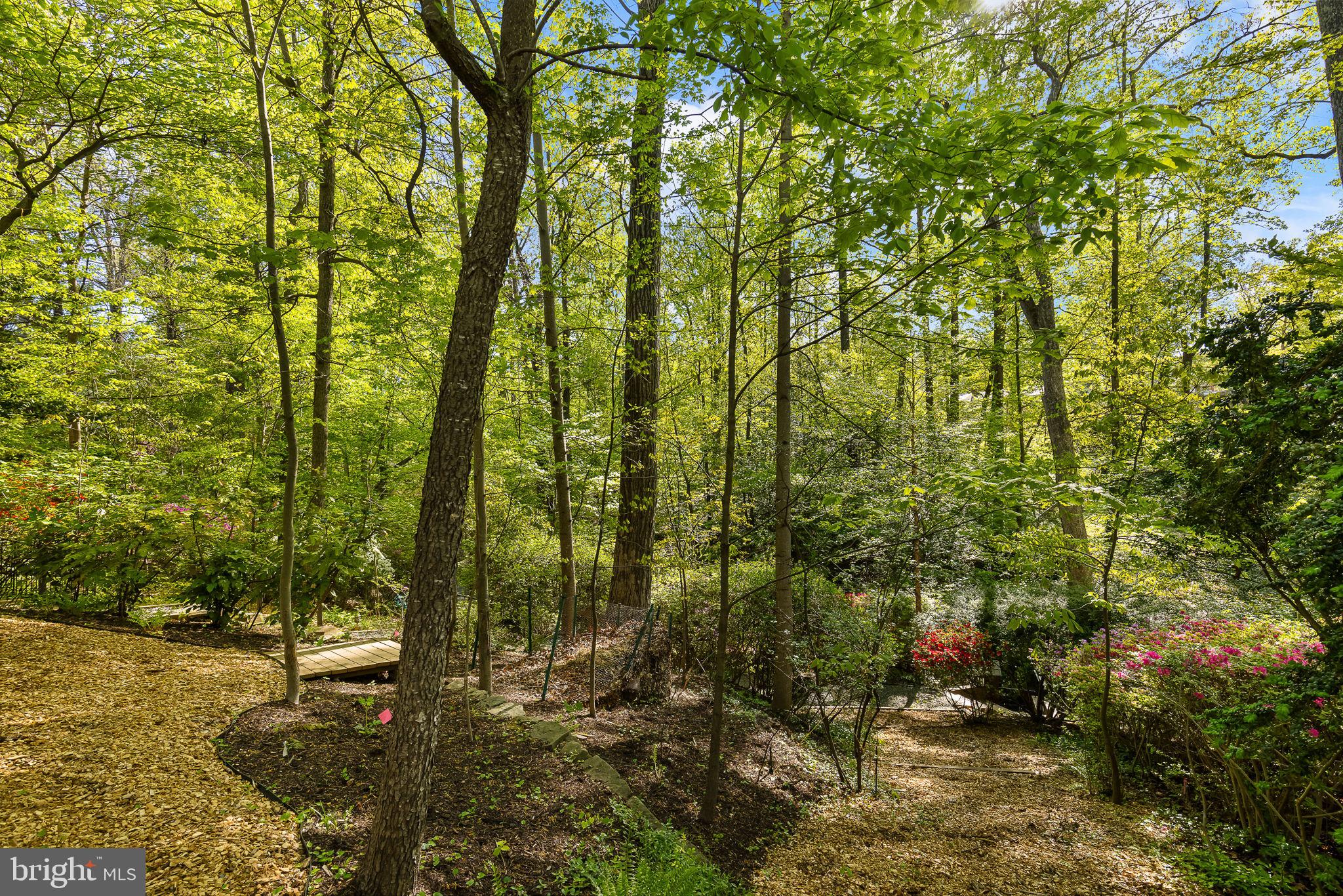 LAKE BARCROFT - Residential