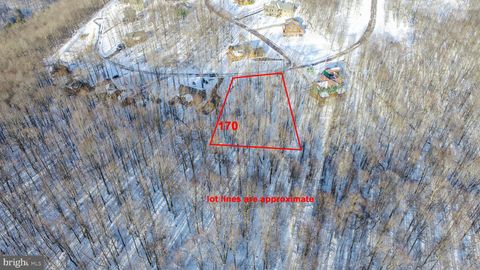 Vacant Land For Sale - 170 Fork Run Trail<br/> MC HENRY, MD 21541