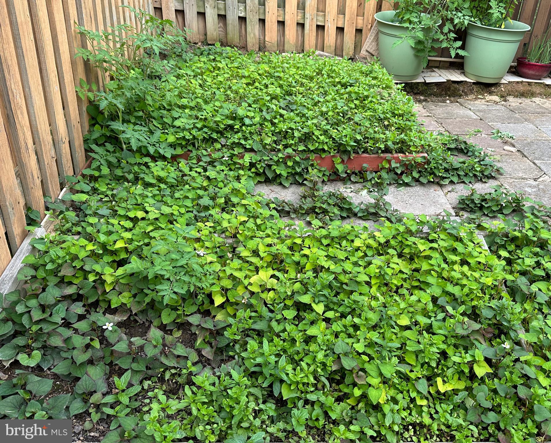 SPRINGBROOK TERRACE - Residential