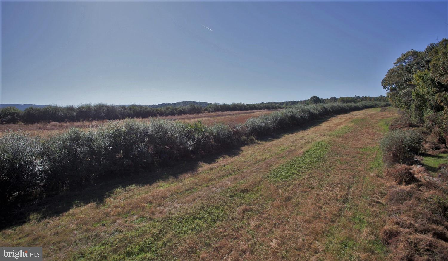 CARROLL VALLEY - Farm