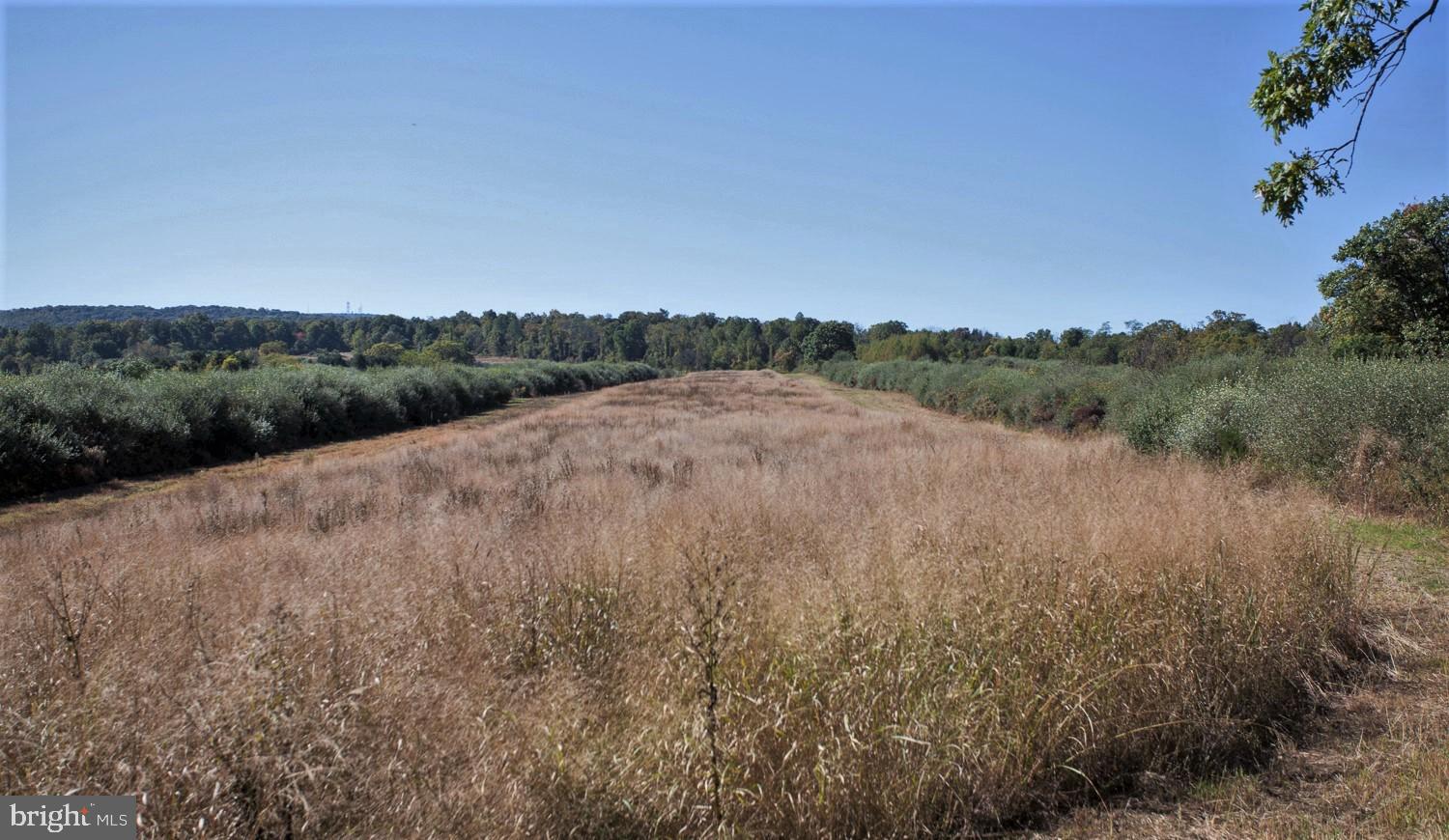 CARROLL VALLEY - Farm