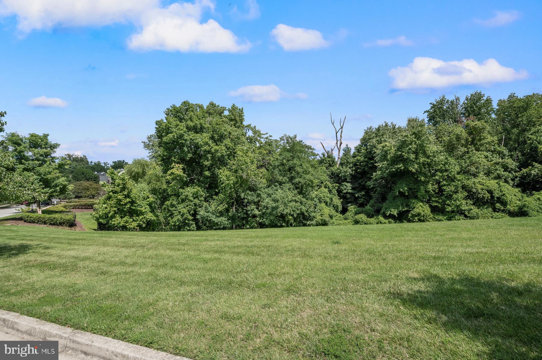 POTOMAC RIDGE - Residential