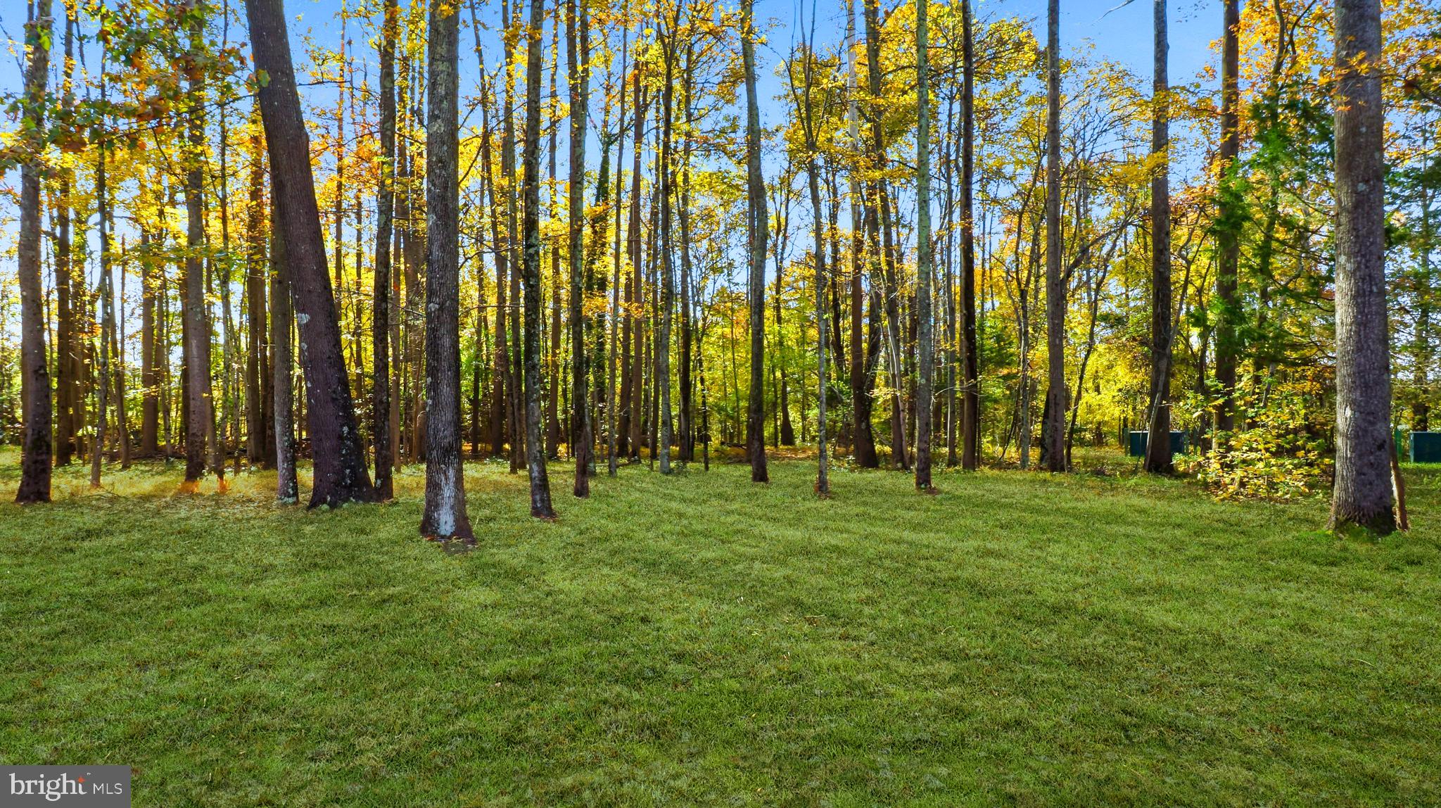 BRANDYWINE VILLAGE - Residential Lease