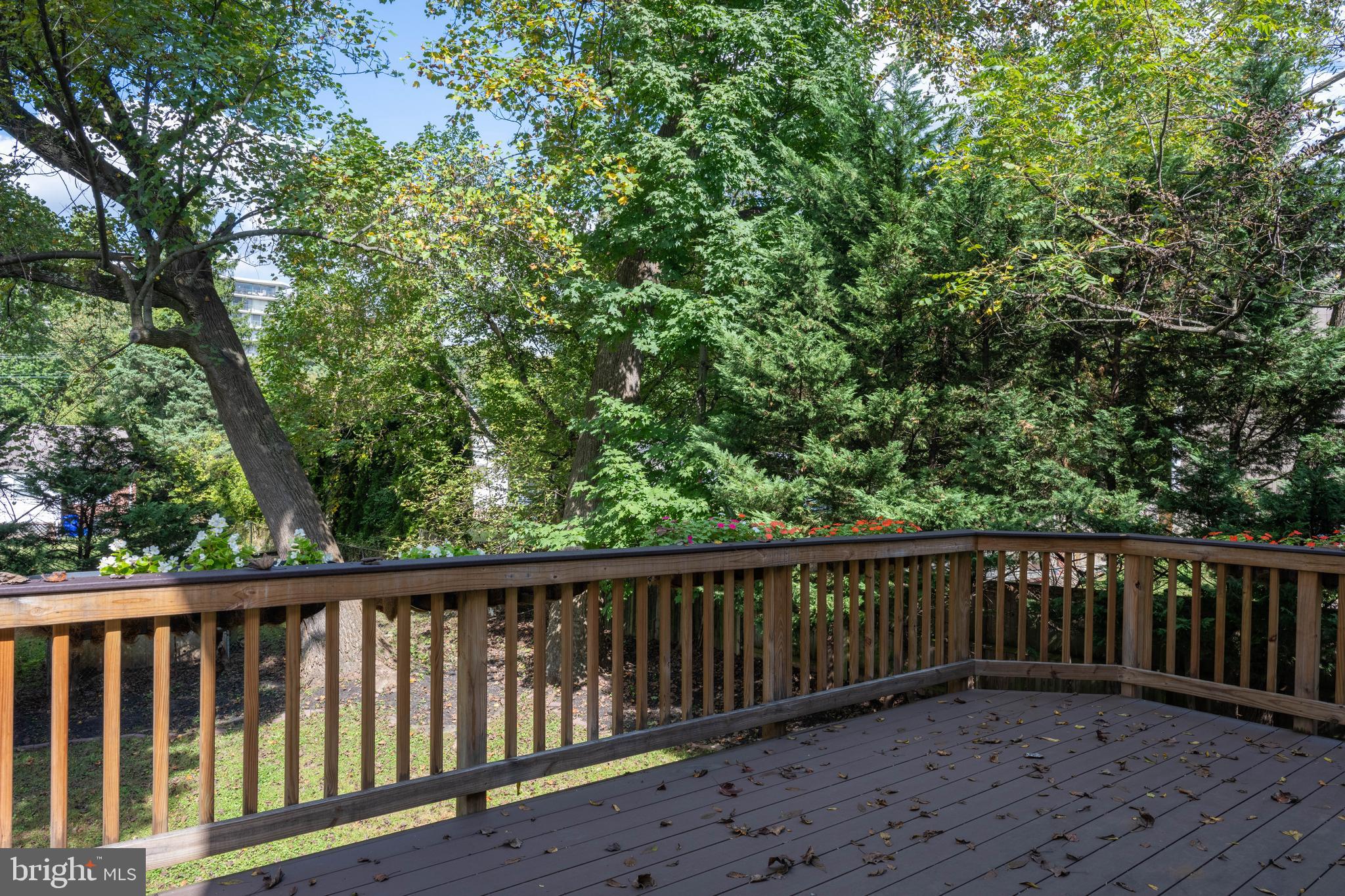 KENSINGTON HEIGHTS - Residential